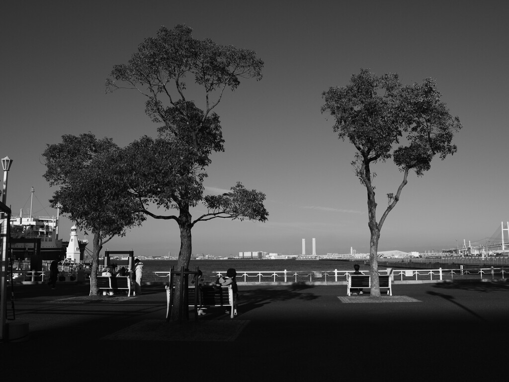 【整理】最近の散歩スナップ　11