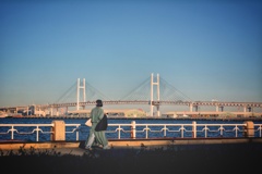 【整理】最近の散歩スナップ　7