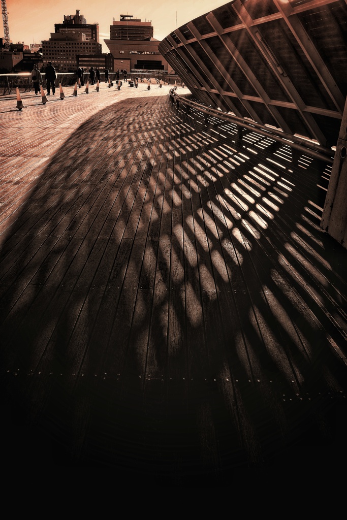 【整理】最近の散歩スナップ　4