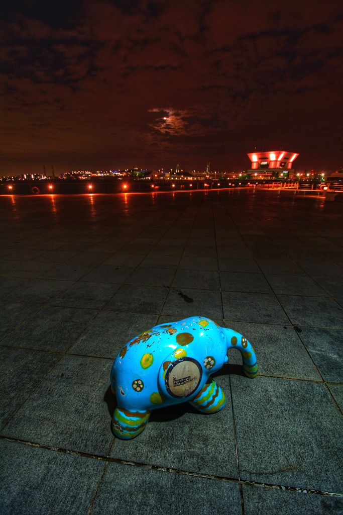 夕方スナップ　象