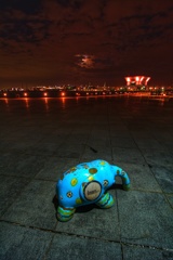 夕方スナップ　象