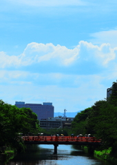 現代の夏の風物詩