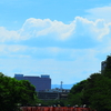 現代の夏の風物詩