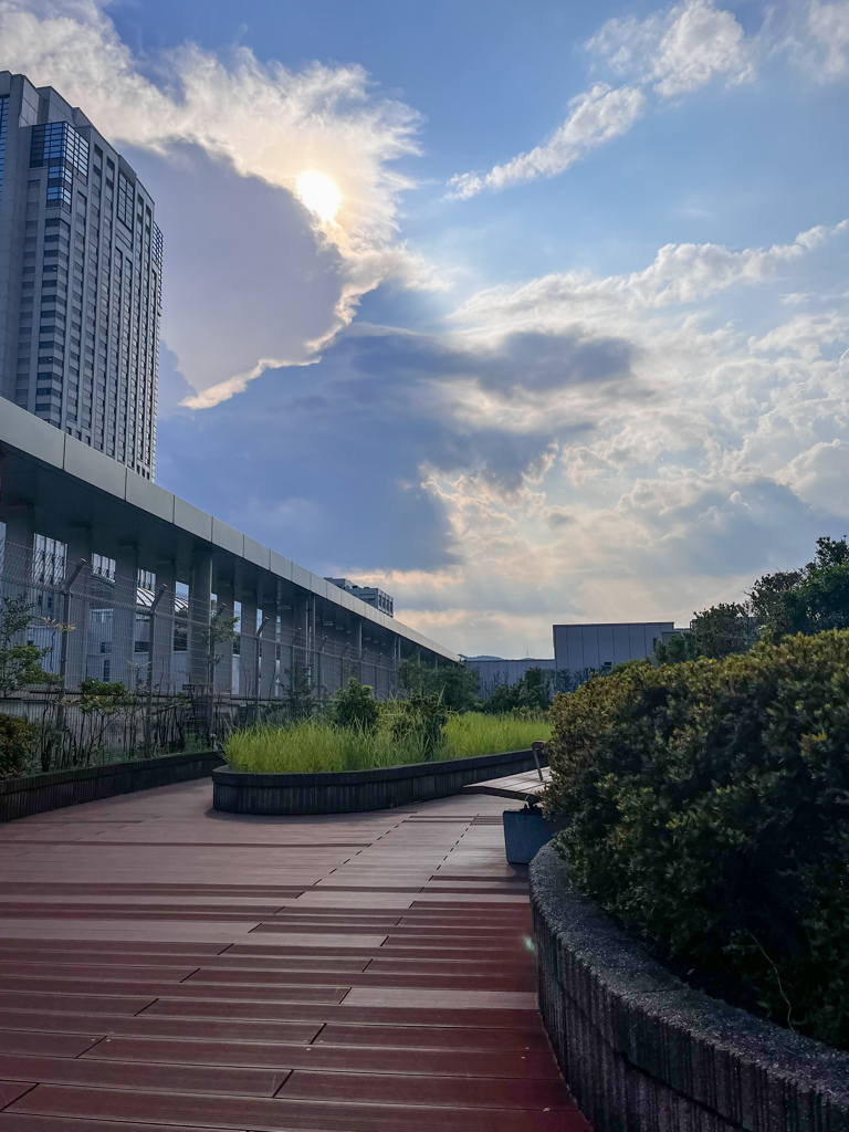 屋上庭園