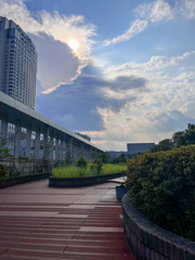 屋上庭園