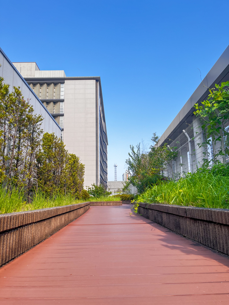 屋上庭園