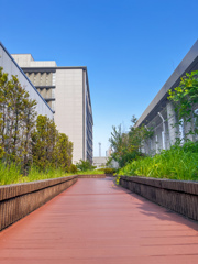 屋上庭園