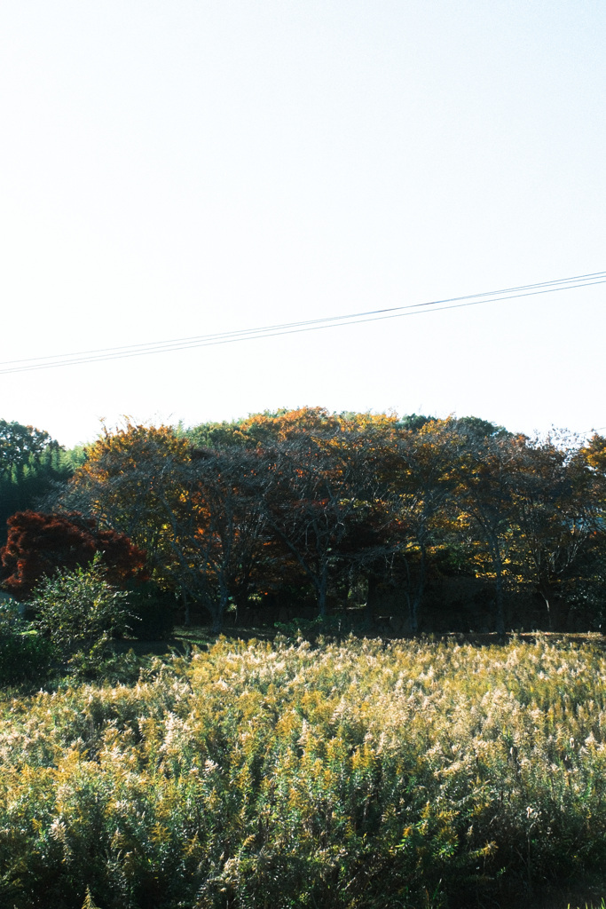 地球防衛軍精鋭部隊