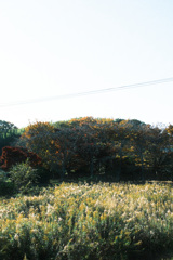 地球防衛軍精鋭部隊