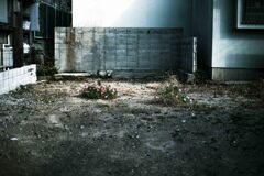 地球防衛軍　美化部隊