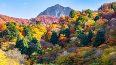 大山