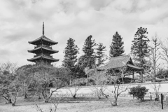 国分寺
