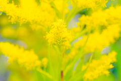 地球防衛軍　精鋭部隊