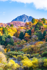 大山