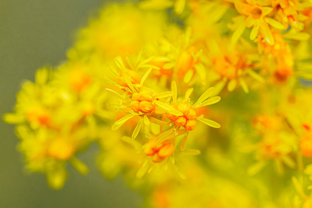 これが地球防衛軍精鋭部隊だ！
