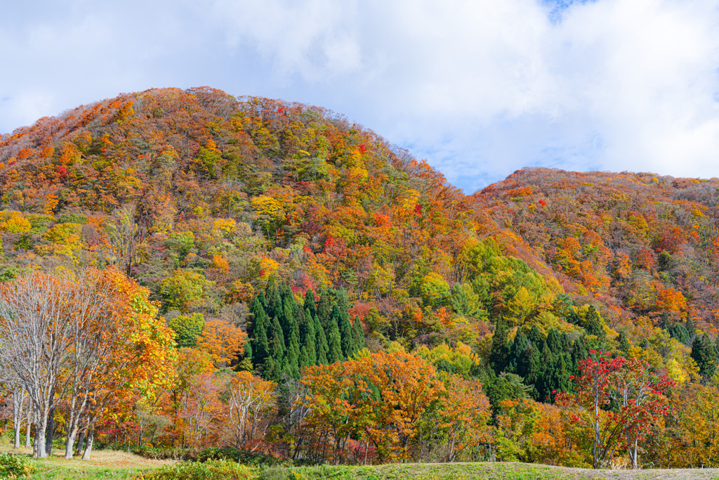 奥大山スキー場