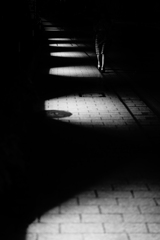 20190113-2-14