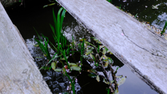 DSCF0631-20250420