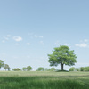 Greenery Day