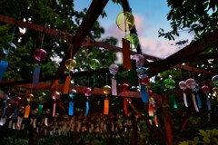 夏の夕暮れ
