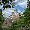 姫路市立動物園から