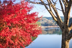 紅葉と湖