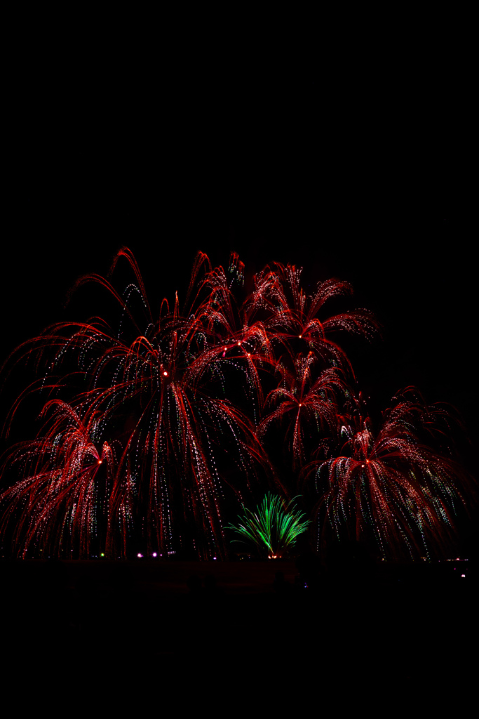 DSC_5952