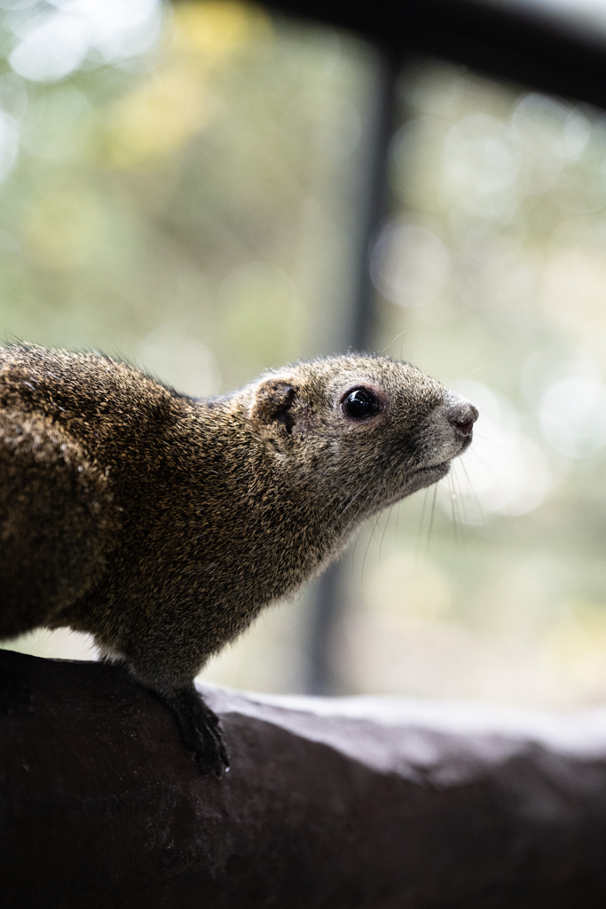 こう見えて掴む力強いんだぞ