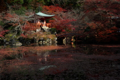染まる水面