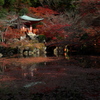 染まる水面