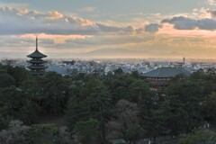 令和の大修理を前にして