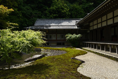静かな朝