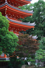 千歳