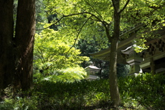 三門の光