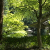 三門の光