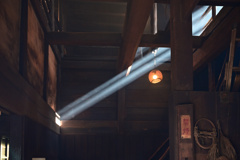 厩の光