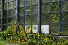 見捨てられちゃったの？