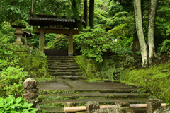 苔むす参道