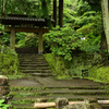 苔むす参道