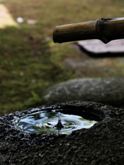 ひと雫の涼