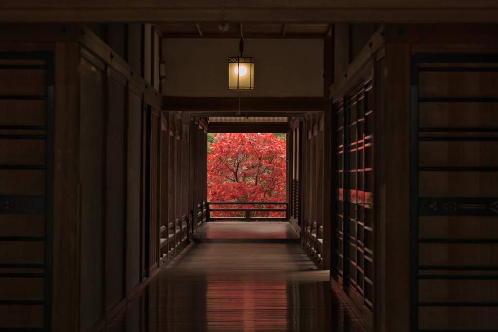 秋色の廊下