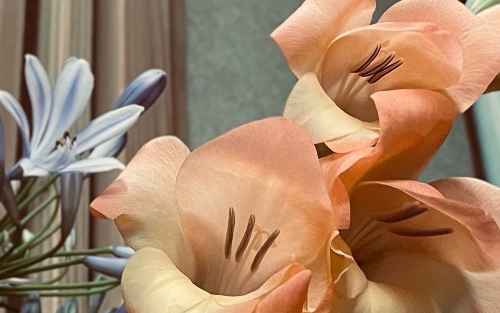 華…その3