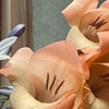 華…その3