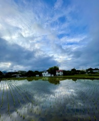 雷雨去り…1