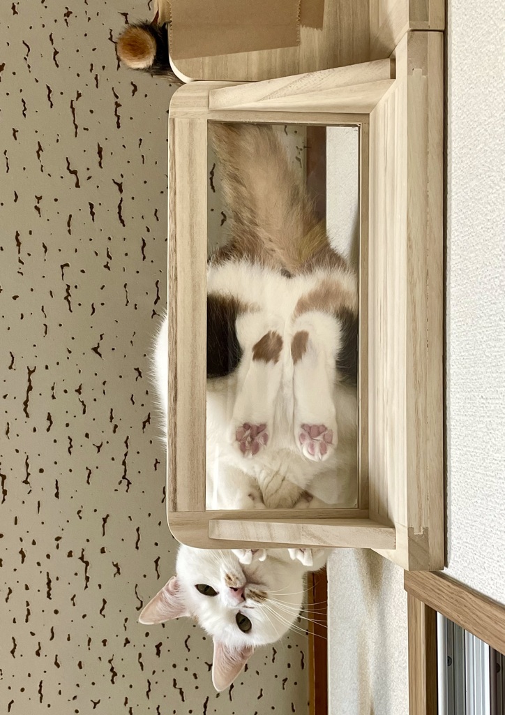 ここまでおいで♡