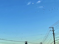 数えられる？