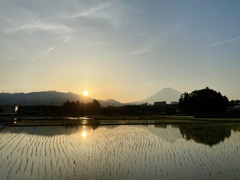 田に映る夕景　④