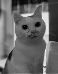 起きて　2   ごはん
