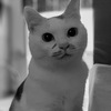 起きて　2   ごはん