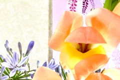 華…その5